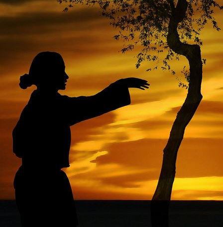 tai chi